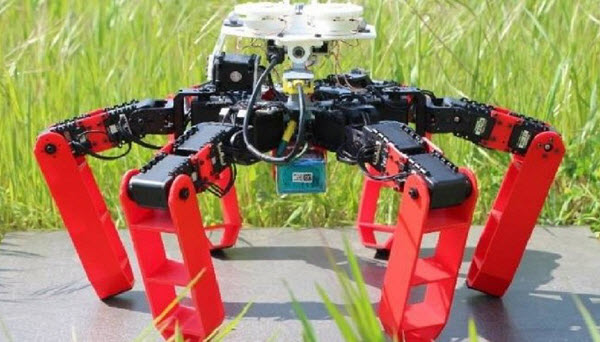 Antbot – pierwszy robot poruszający się bez GPS, fot. Julien Dupeyroux, ISM (CNRS / AMU)