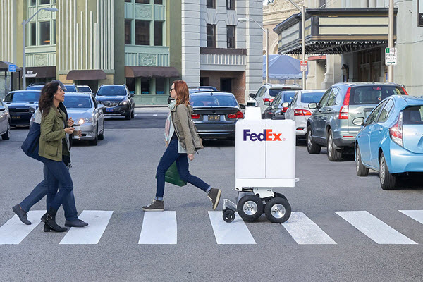 BotSomeDay będzie dostarczał przesyłki firmy FedEx