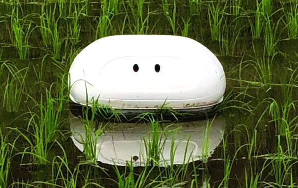 Robot Aigamo nosi imię kaczki, ponieważ tak jak one ma odchwaszczać i użyźniać pola ryżowe