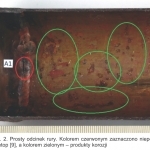 Rys. 2. Prosty odcinek rury. Kolorem czerwonym zaznaczono niepełny przetop [9], a kolorem zielonym – produkty korozji
